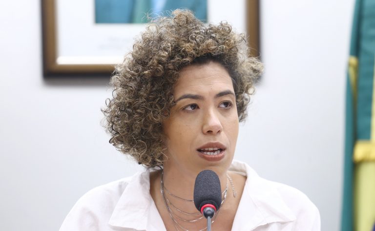 Comissão da Câmara promove seminário sobre Nova Economia para discutir modelo de desenvolvimento sustentável e socialmente inclusivo