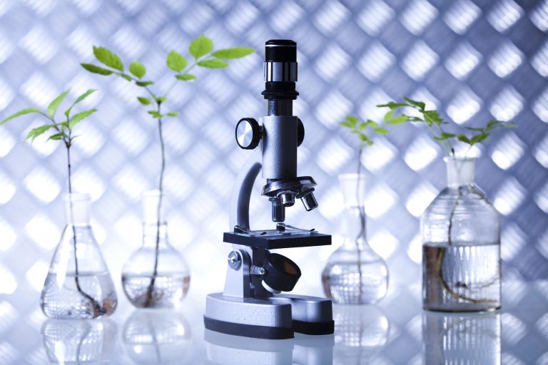 Comissão da Câmara promove audiência sobre agricultura espacial e impactos na segurança alimentar e no desenvolvimento sustentável