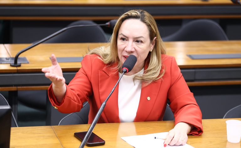 Comissão da Câmara aprova diretrizes para as Rondas Maria da Penha nas Polícias Militares em projeto de lei