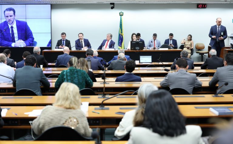 Dario Durigan defende alterações em MEI, renegociação da dívida agrícola e cuidados fiscais no Congresso